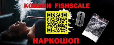 стаф Краснодар