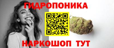 СК Краснознаменск