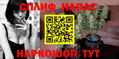 СК Краснознаменск