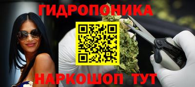 стаф Краснодар