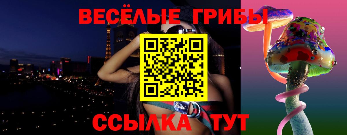 Галлюциногенные грибы Cubensis Тельмана